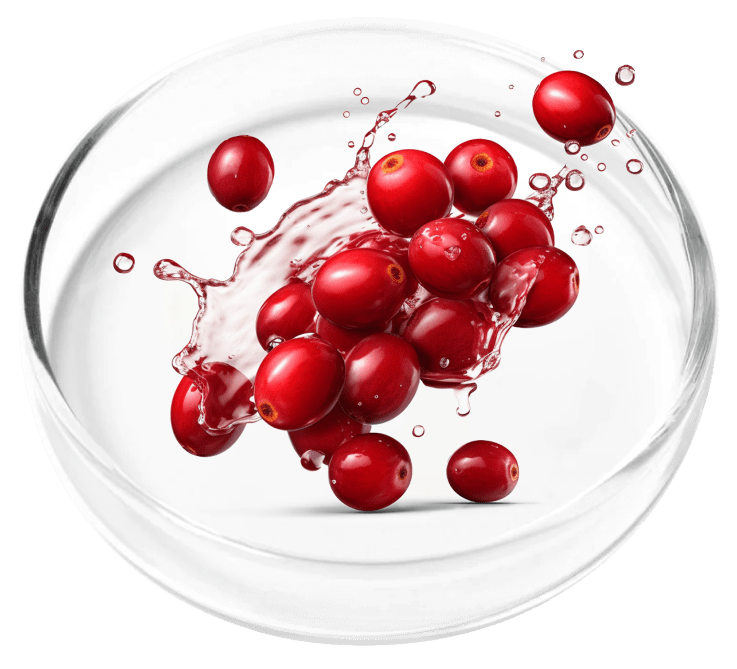 Cranberry Extract for UTI prevention