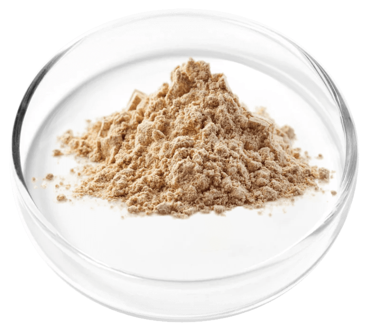 Granular Berberine for microbiome balance